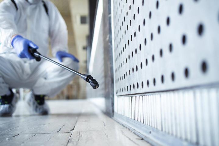 Extermination des fourmis Saint-Amable