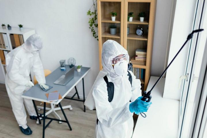 Service d’extermination de nuisibles Saint-Amable