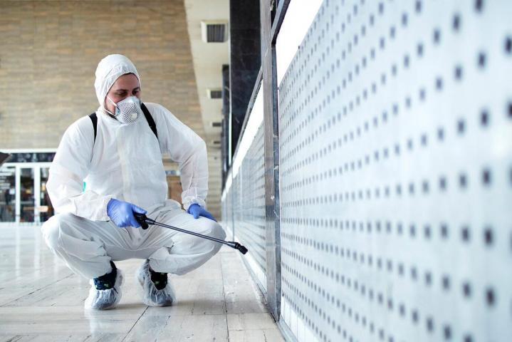 Service d’extermination de nuisibles Saint-Amable
